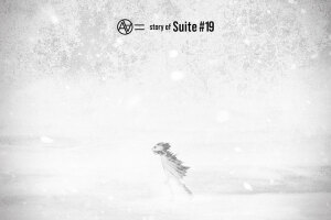 suite#19 カバー